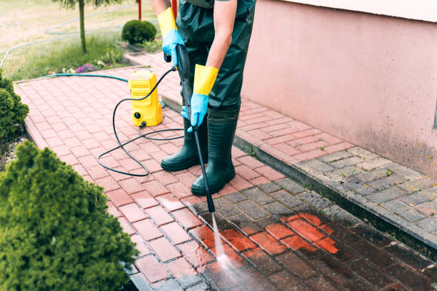 Best Residential Exterior Washing  in Bridgeport, TX